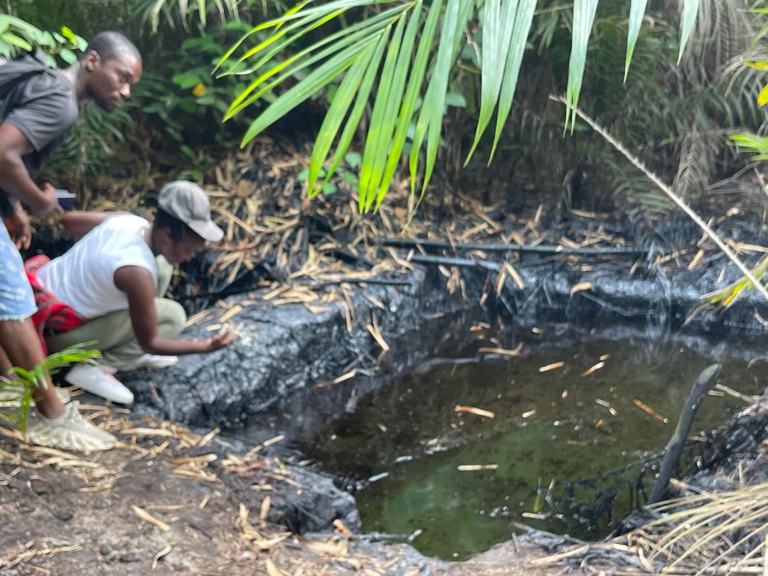 Environmental Justice and Energy Transition in Ogoni Land - a Policy Brief